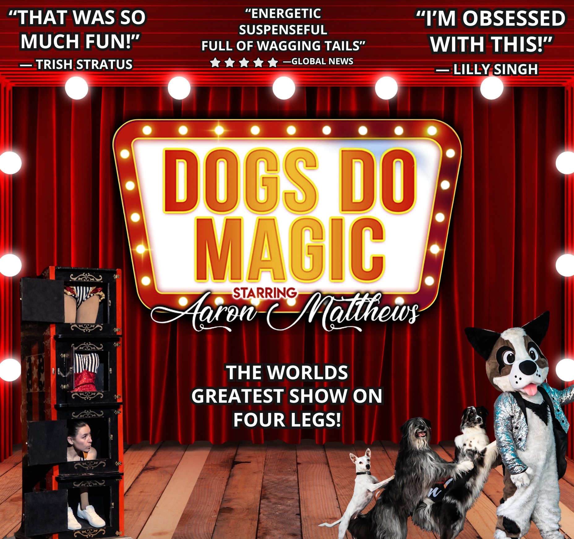 Event image Dogs Do Magic: A Canine Christmas